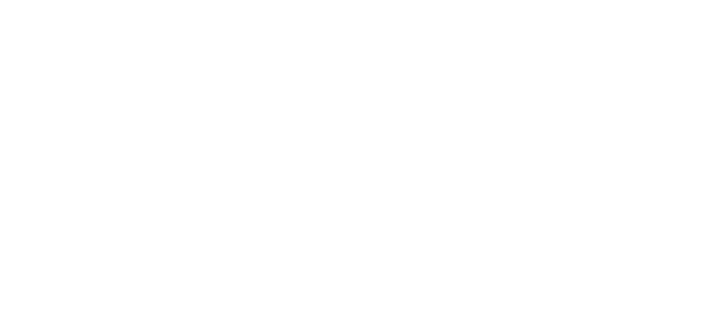 Logo Feudal